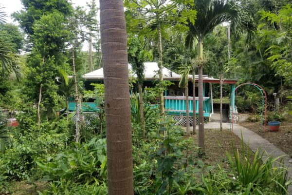 Peaceful-Cottages-Villas-Rain-Forest