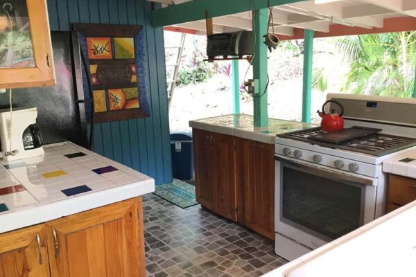 Cottage-02-Kitchen-opt