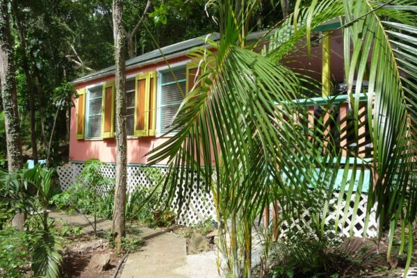 st-john-properties-for-sale